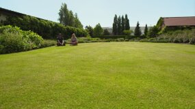 Nowa Maja w ogrodzie: idealny trawnik!